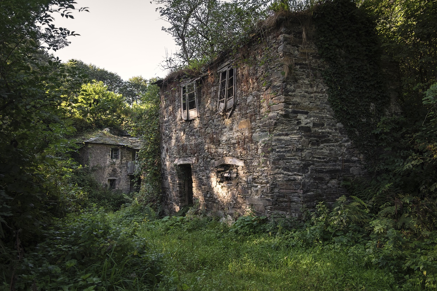Entorno rural